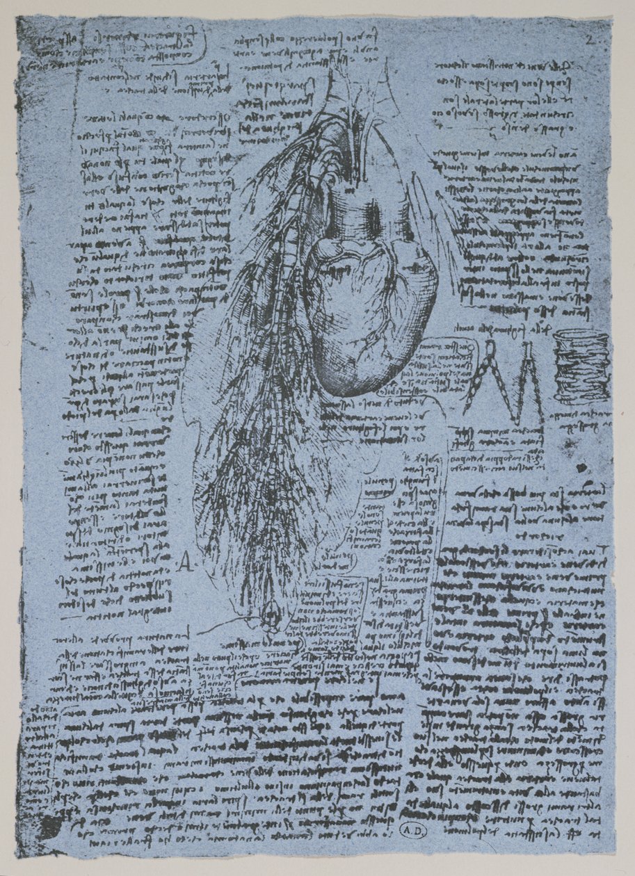 Srdce a průduškové tepny, faksimile Windsorské knihy (pero a inkoust na papíře) od Leonardo da Vinci