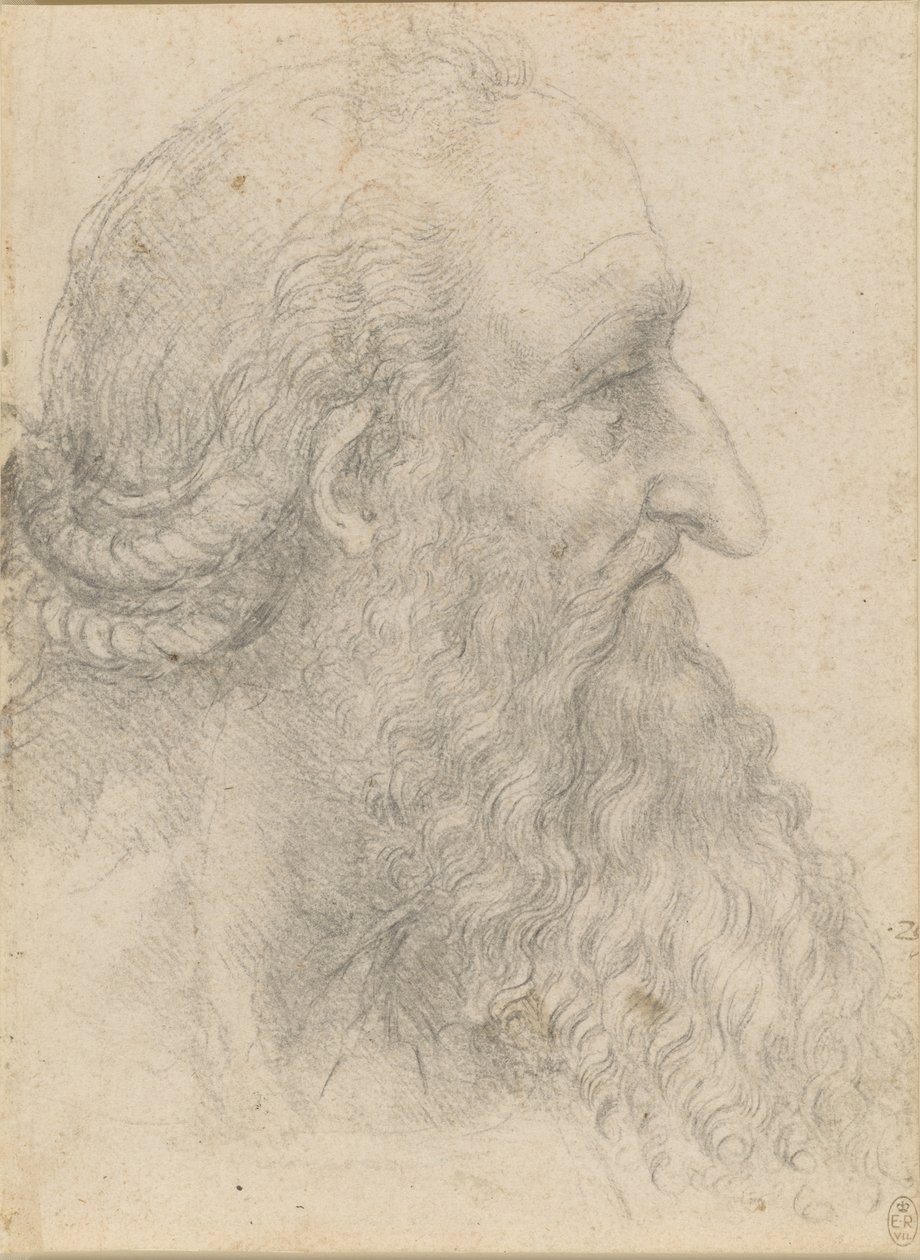 Hlava starého vousatého muže, asi 1517. od Leonardo da Vinci