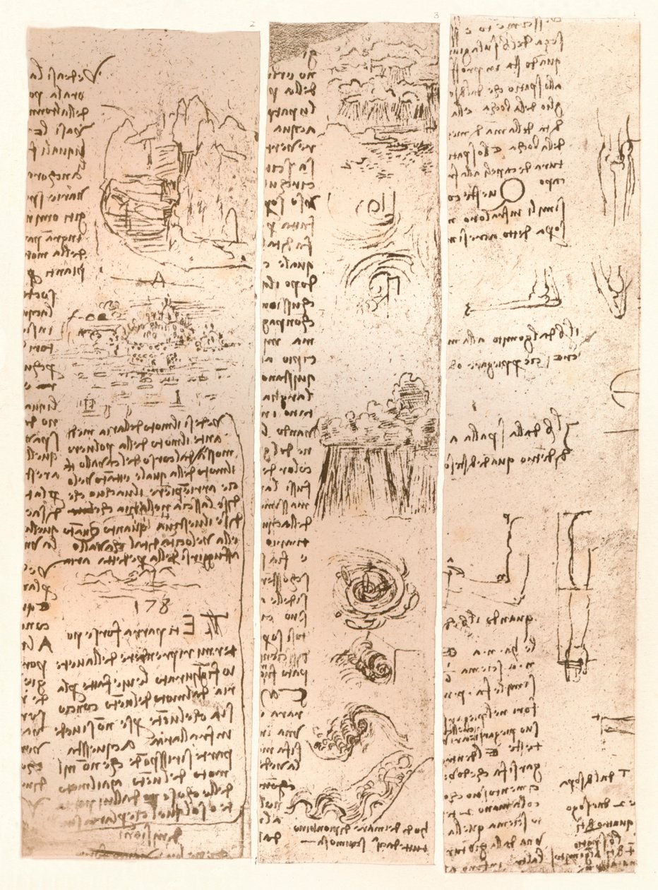 Tři kresby, c1472-c1519 1883 od Leonardo da Vinci