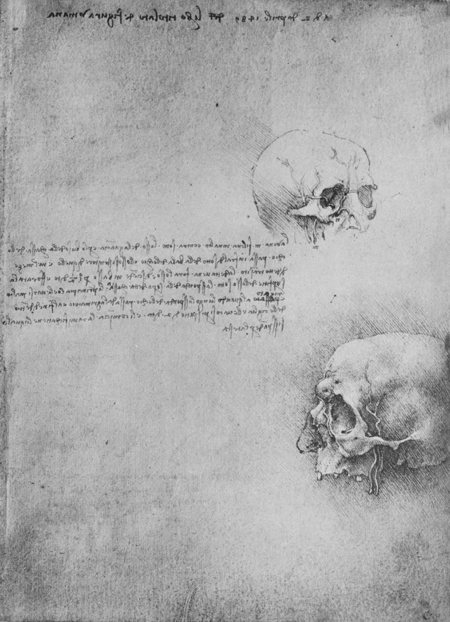 Dvě kresby kostěné struktury hlavy, c1480 1945 od Leonardo da Vinci