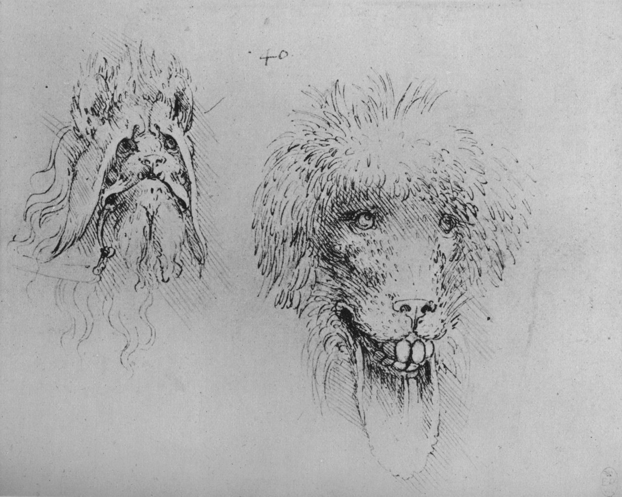 Two Heads of Monsters, c1480 1945 od Leonardo da Vinci