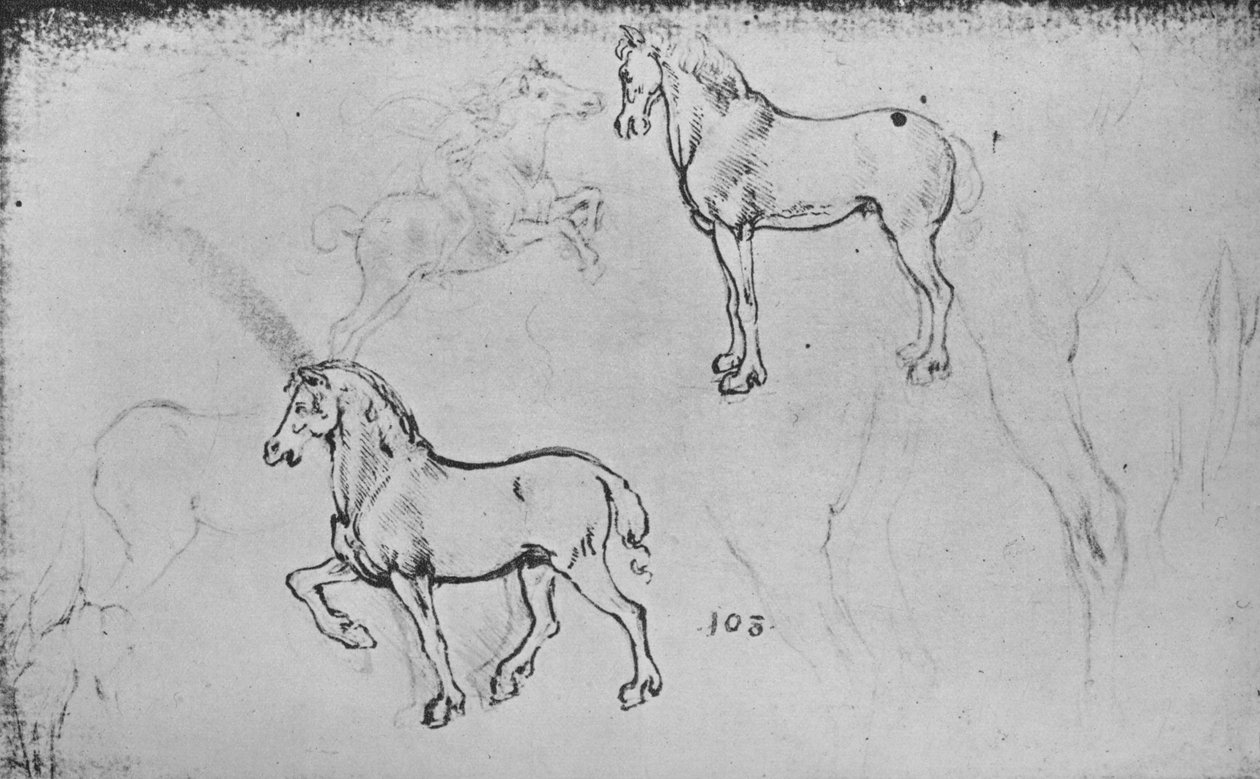 Dvě studie koní, jeden cválajícího jezdce a další nohy koní, c1480 1945 od Leonardo da Vinci