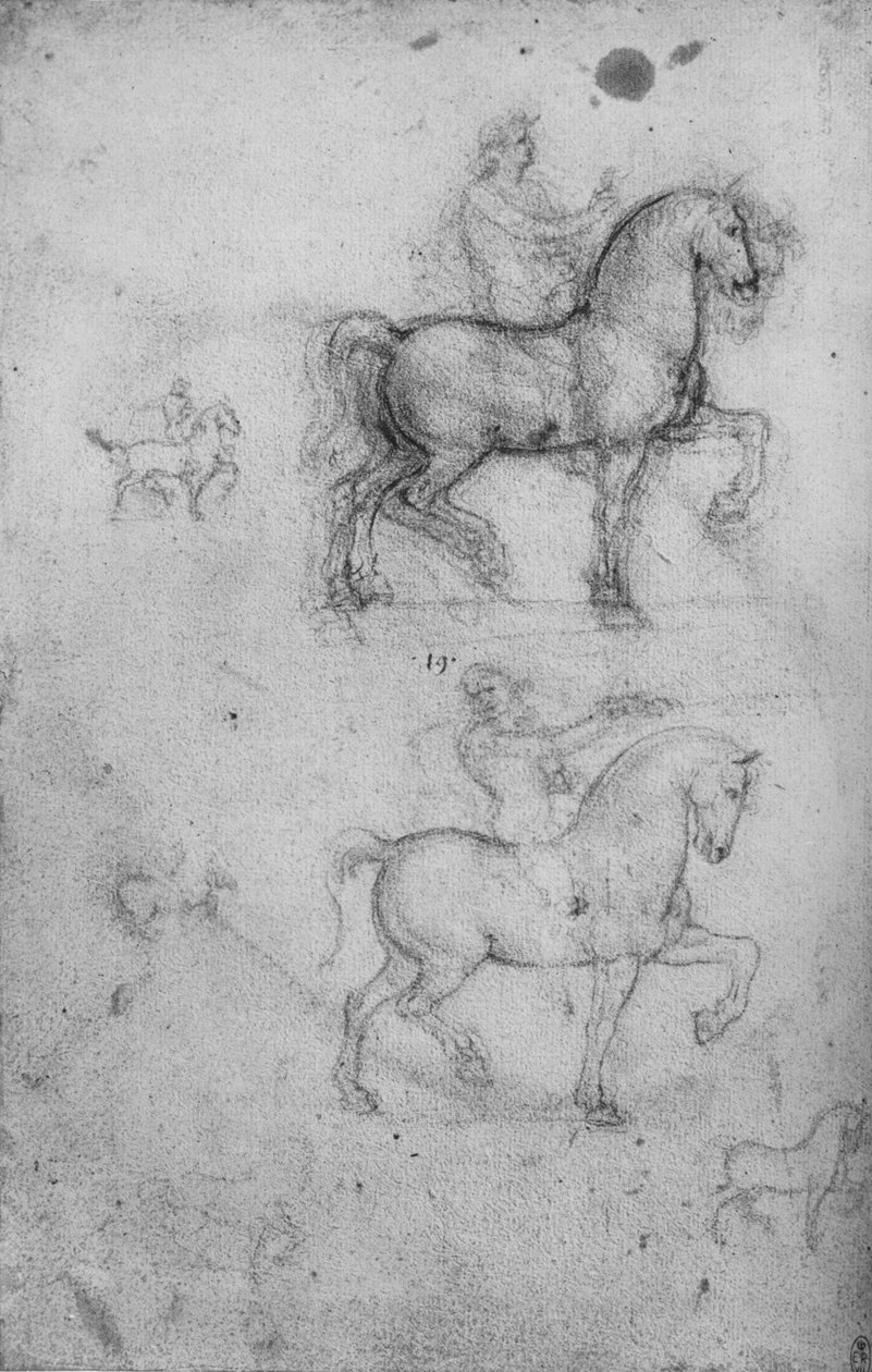 Dvě studie o koních a jezdcích a Menší studie o koních, c1480 1945 od Leonardo da Vinci