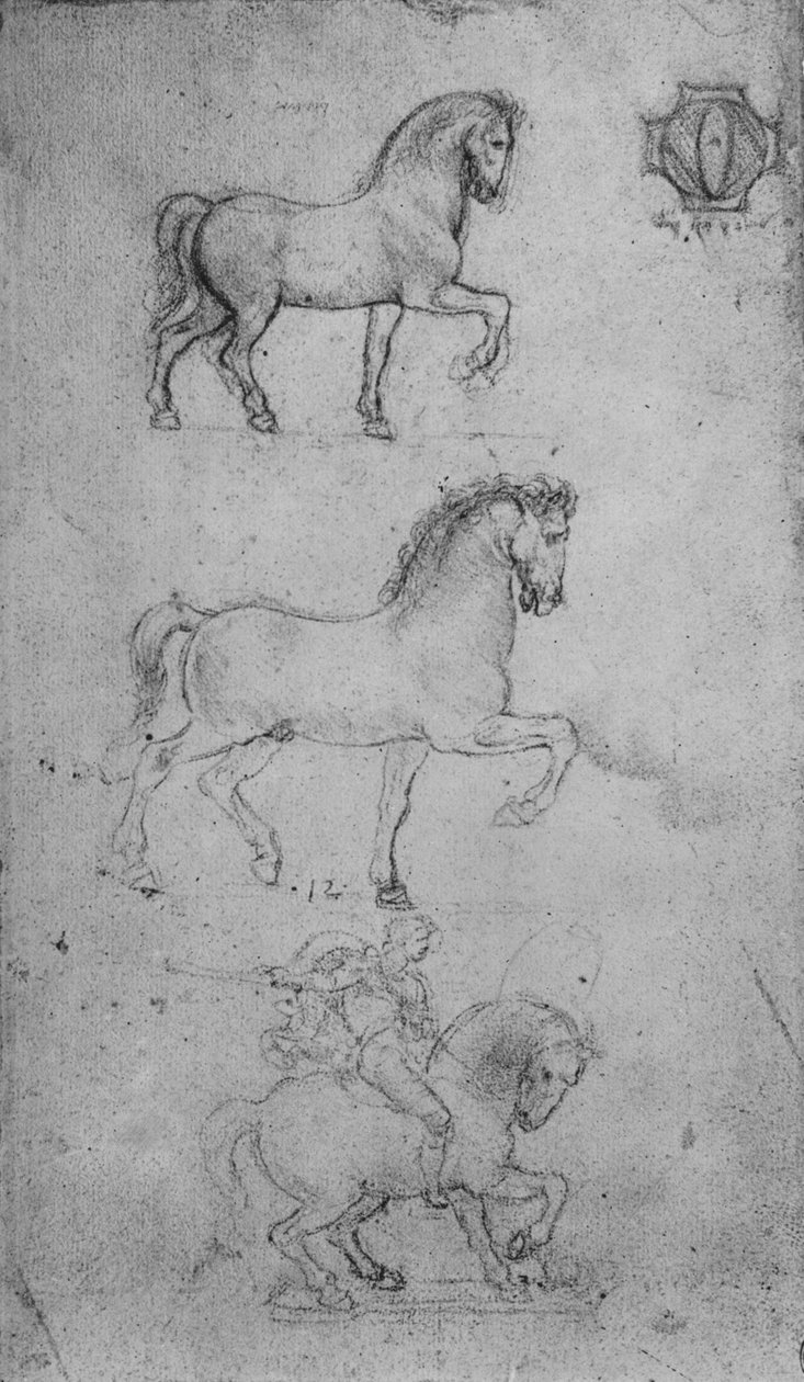Dvě studie o koni a jedna o koni a jezdci, c1480 1945 od Leonardo da Vinci