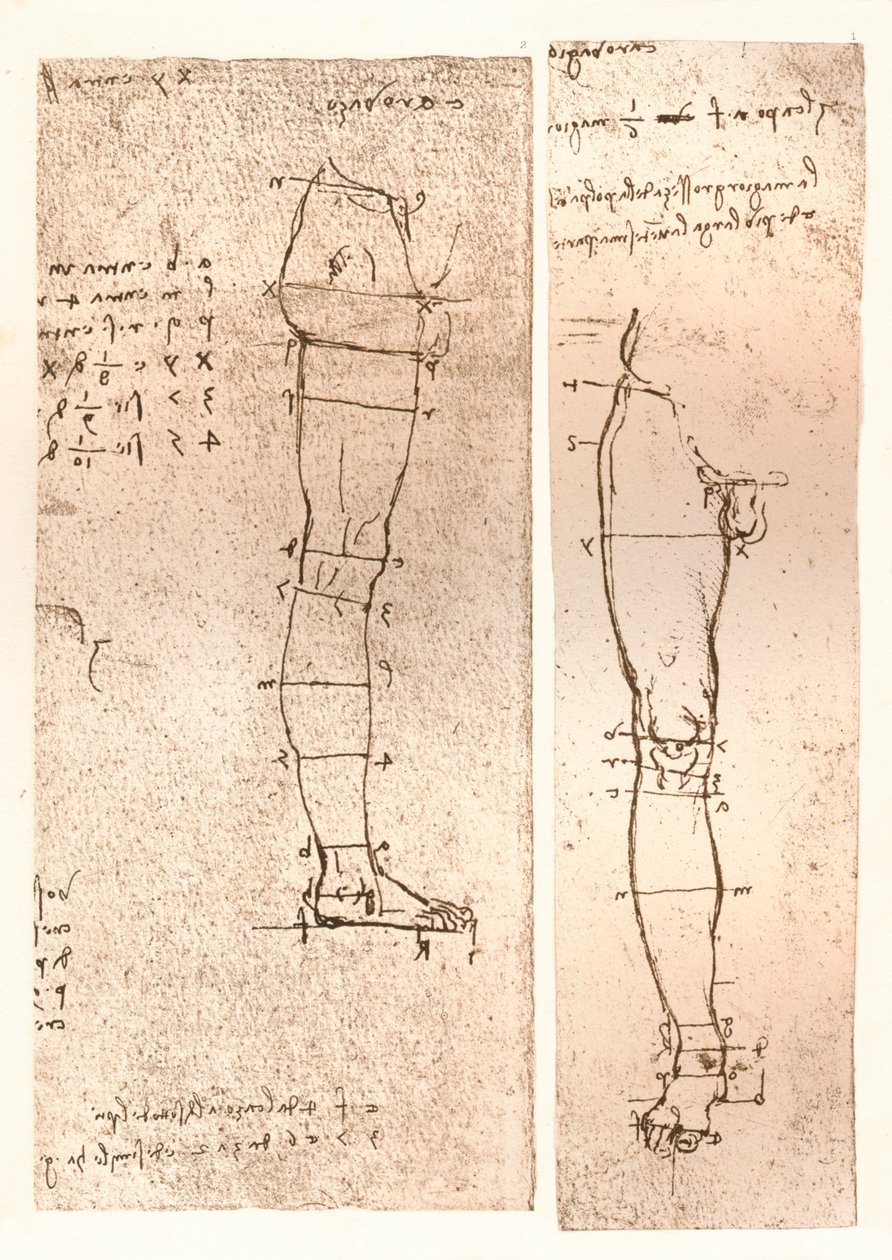 Dvě kresby ilustrující teorii proporcí lidské postavy, c1472-c1519 1883 od Leonardo da Vinci