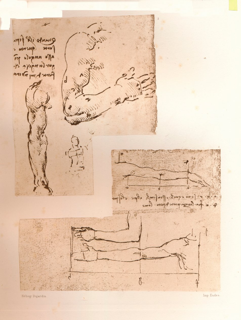 Dvě kresby ilustrující teorii proporcí lidské postavy, c1472-c1519 1883 od Leonardo da Vinci