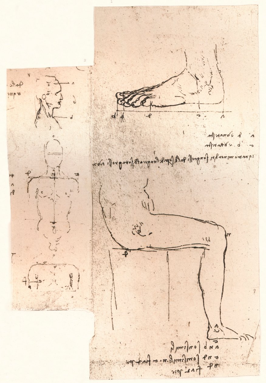 Dvě kresby ilustrující teorii proporcí lidské postavy, c1472-c1519 1883 od Leonardo da Vinci