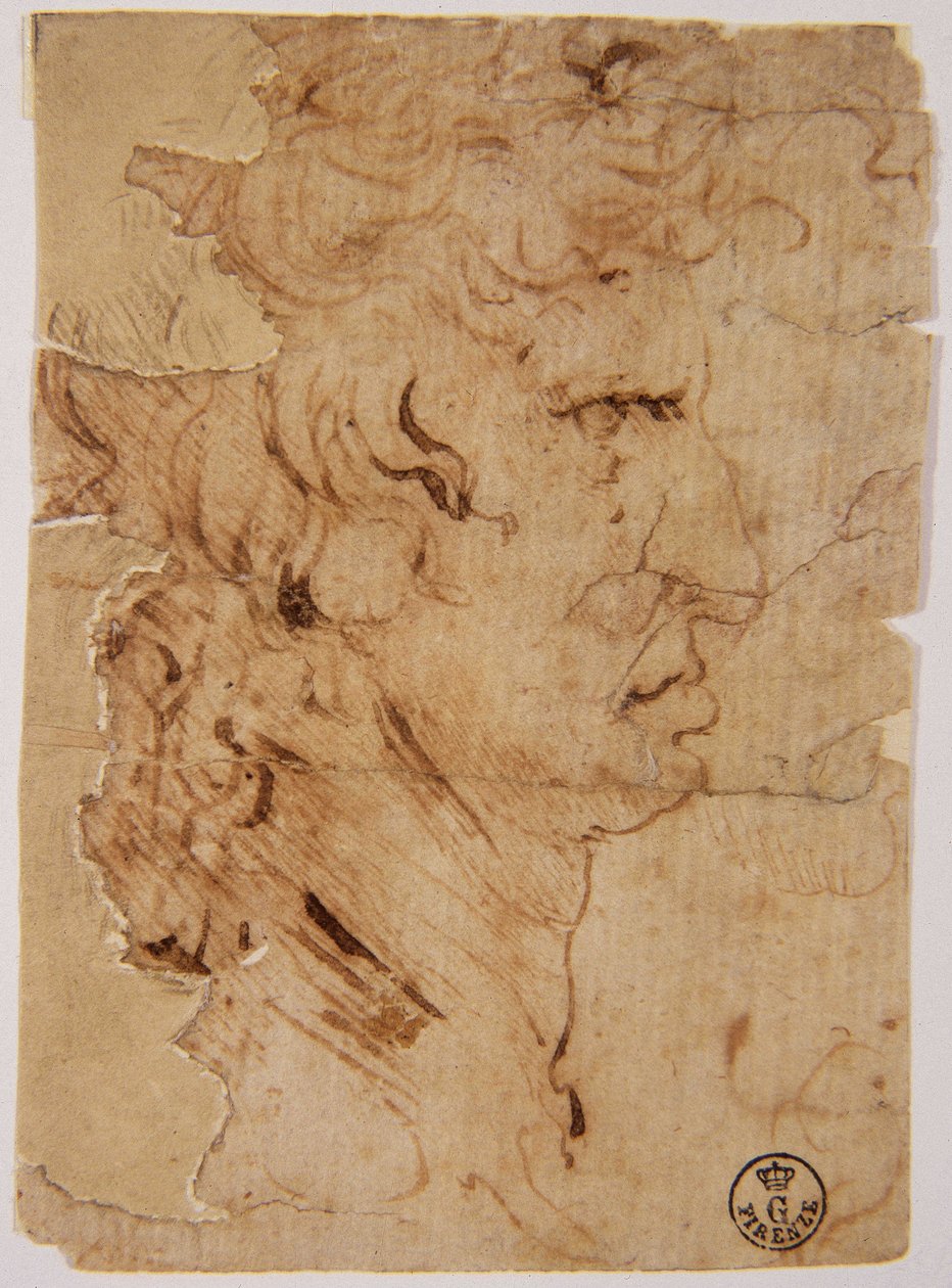 Neznámý obrázek od Leonardo da Vinci