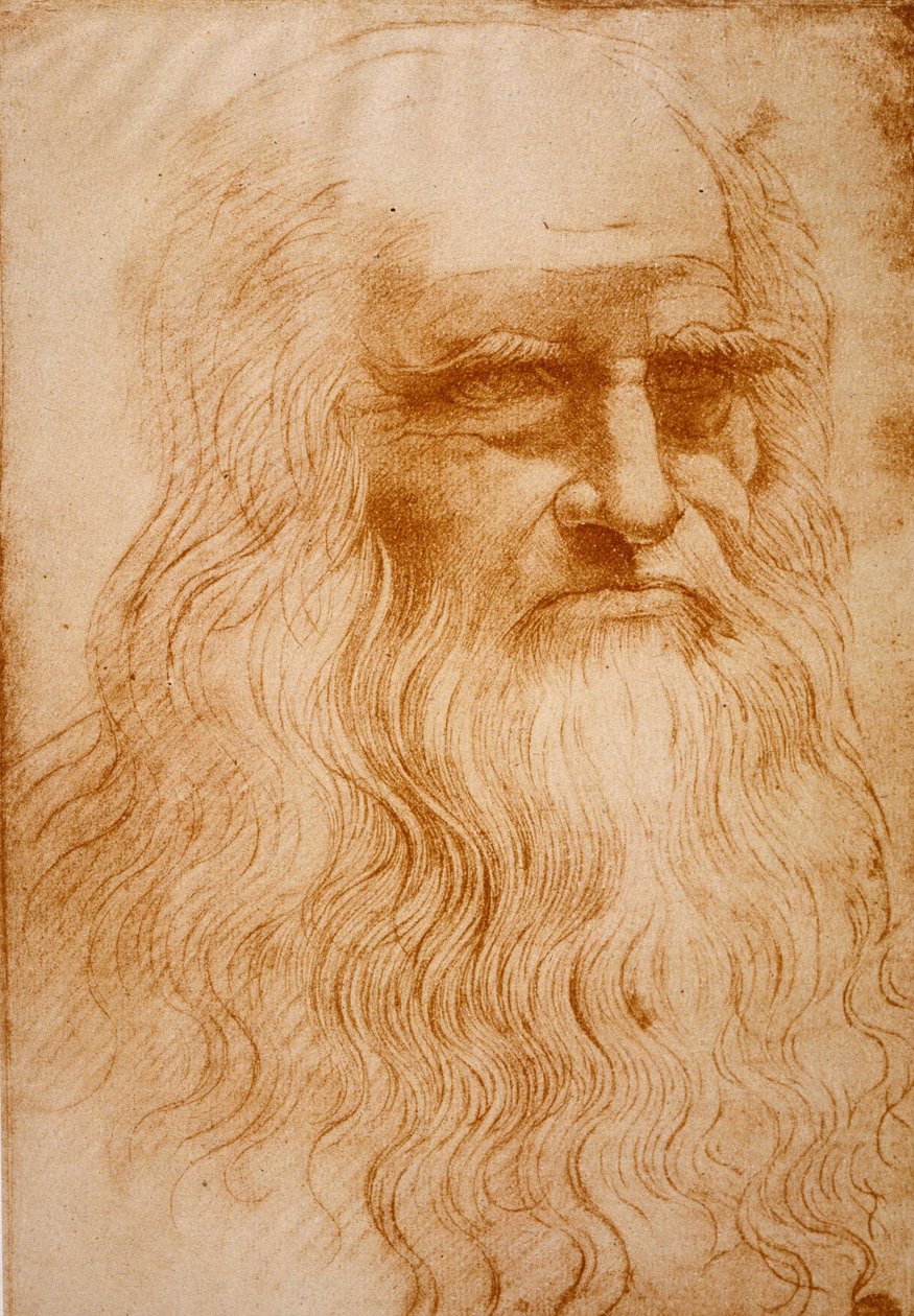 Neznámý obrázek od Leonardo da Vinci