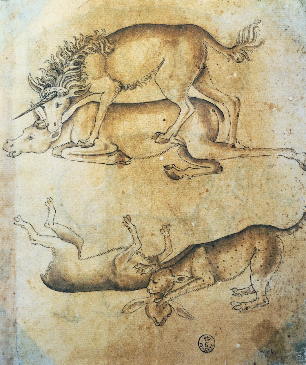 Jednorožec útočící na krávu a leopard útočící na ovci, studie zvířat, Leonardo da Vinci (1452-1519), kresba od Leonardo da Vinci
