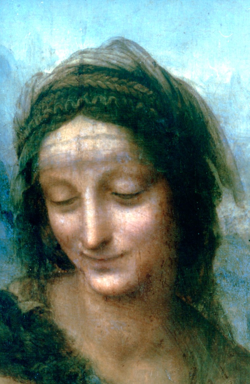 Detail Panny Marie s dítětem se svatou Annou, 1502-1516 od Leonardo da Vinci