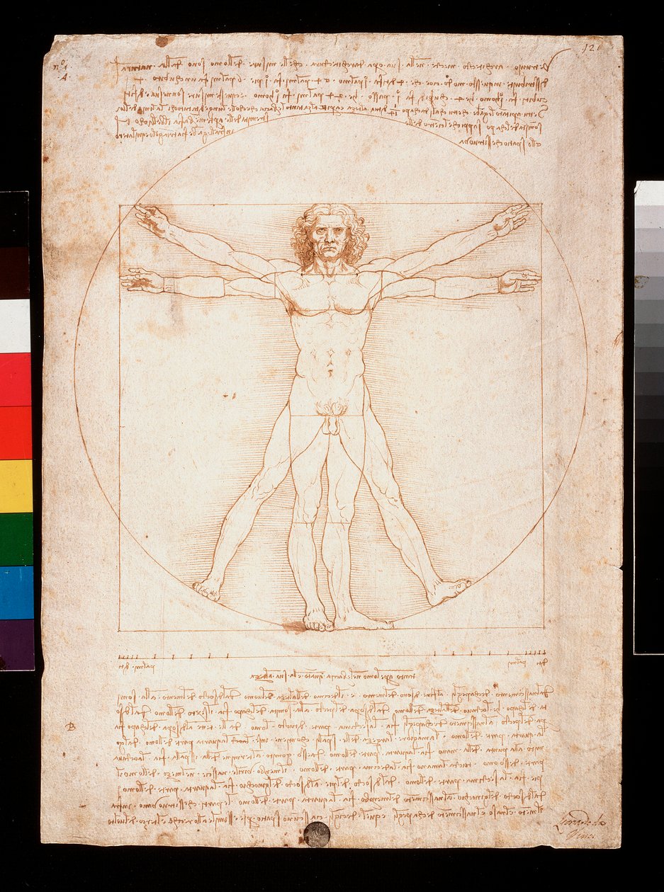 Vitruviánský muž od Leonardo da Vinci