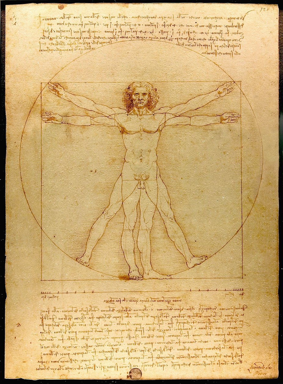 Vitruviánský muž od Leonardo da Vinci