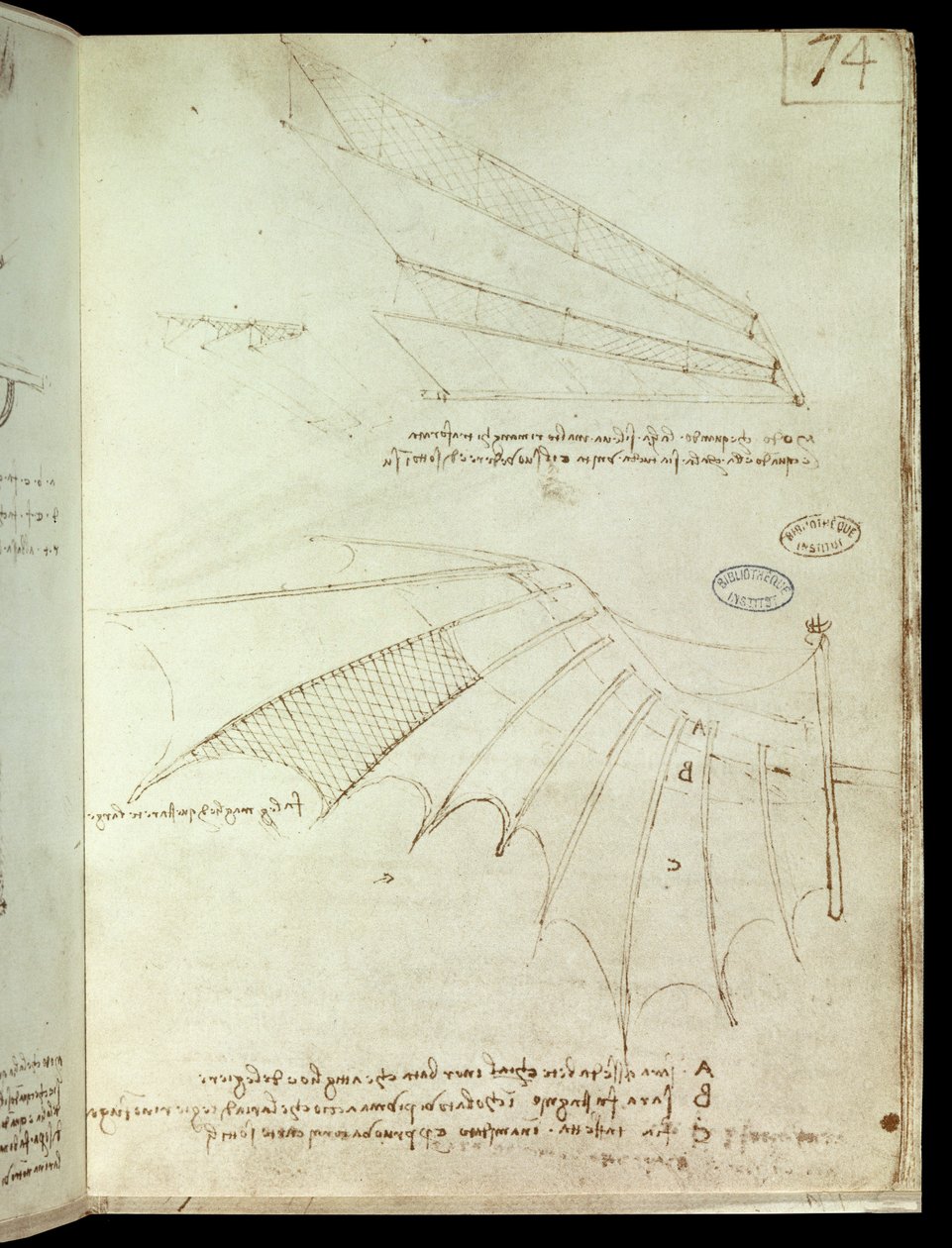 Křídlo. Letící strojní kreslení. Rukopis Leonarda De Vinciho (Leonardo da Vinci od Leonardo da Vinci