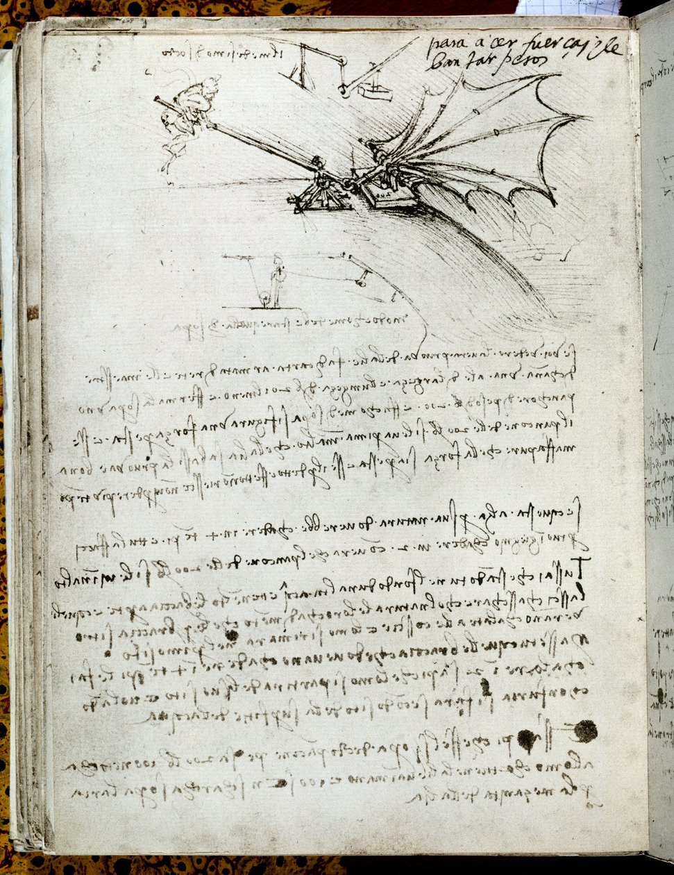 Výcvik křídel. Letící strojní kreslení. Rukopis Leonarda De Vinciho (Leonardo da Vinci od Leonardo da Vinci