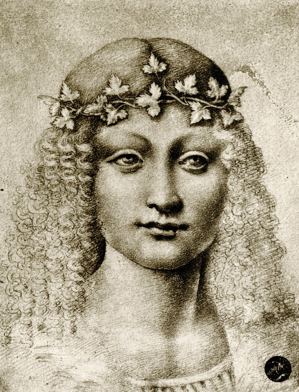 Hlava dívky ověnčená vinnou révou od Leonardo da school of Vinci