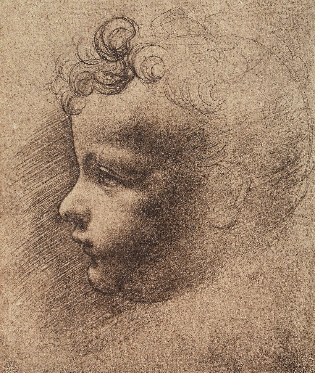Hlava malého chlapce; kresba Leonarda da Vinciho. Louvre, Paříž od Leonardo da school of Vinci