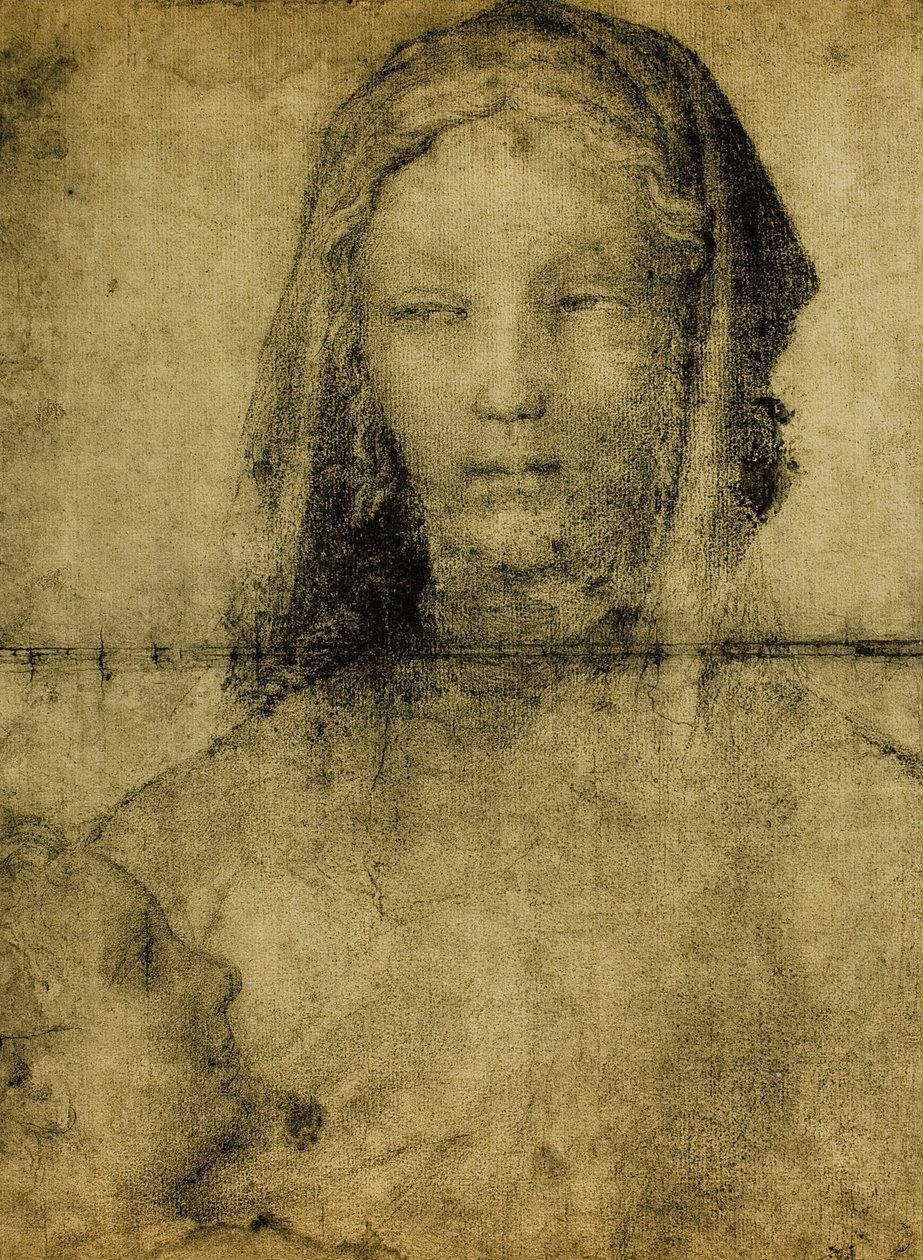 Studium pro Pannu; kresba ze školy Leonardo. Louvre, Paříž od Leonardo da school of Vinci