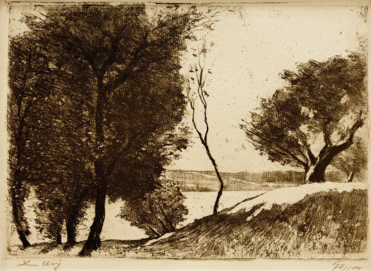 Stromy lemované pobřeží na Braniborském jezeře od Lesser Ury