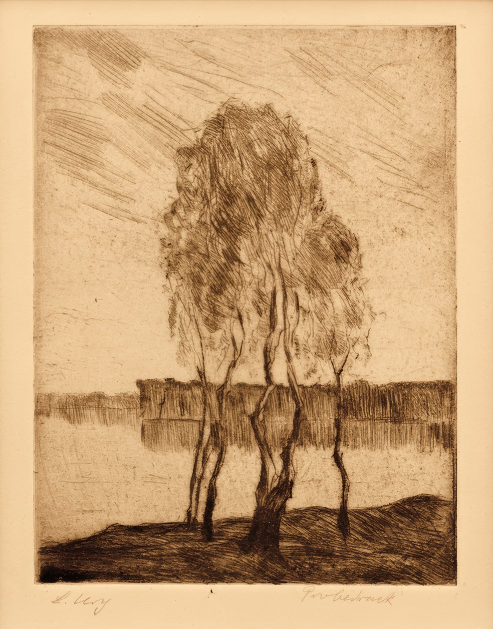 Tři břízy na jezeře v regionu Braniborsko od Lesser Ury