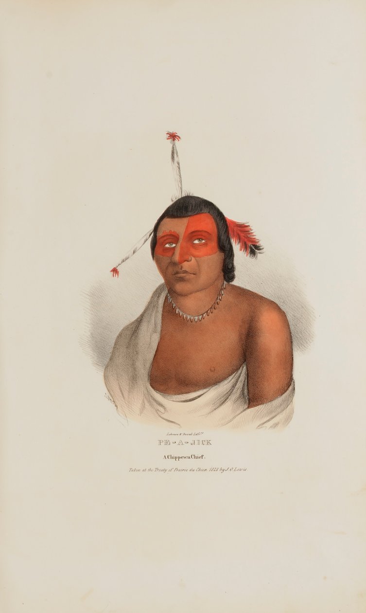 PE-A-JICK; náčelník kmene Chippewa, od The Aboriginal Portfolio od Lewis, James Otto
