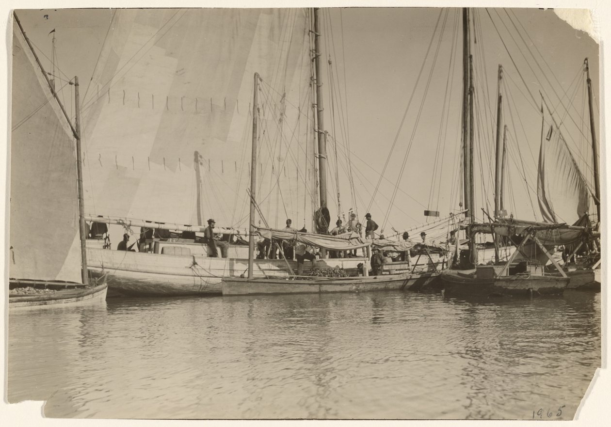 [Ústřicové lodě, Mobile Bay, Alabama] od Lewis W. Hine
