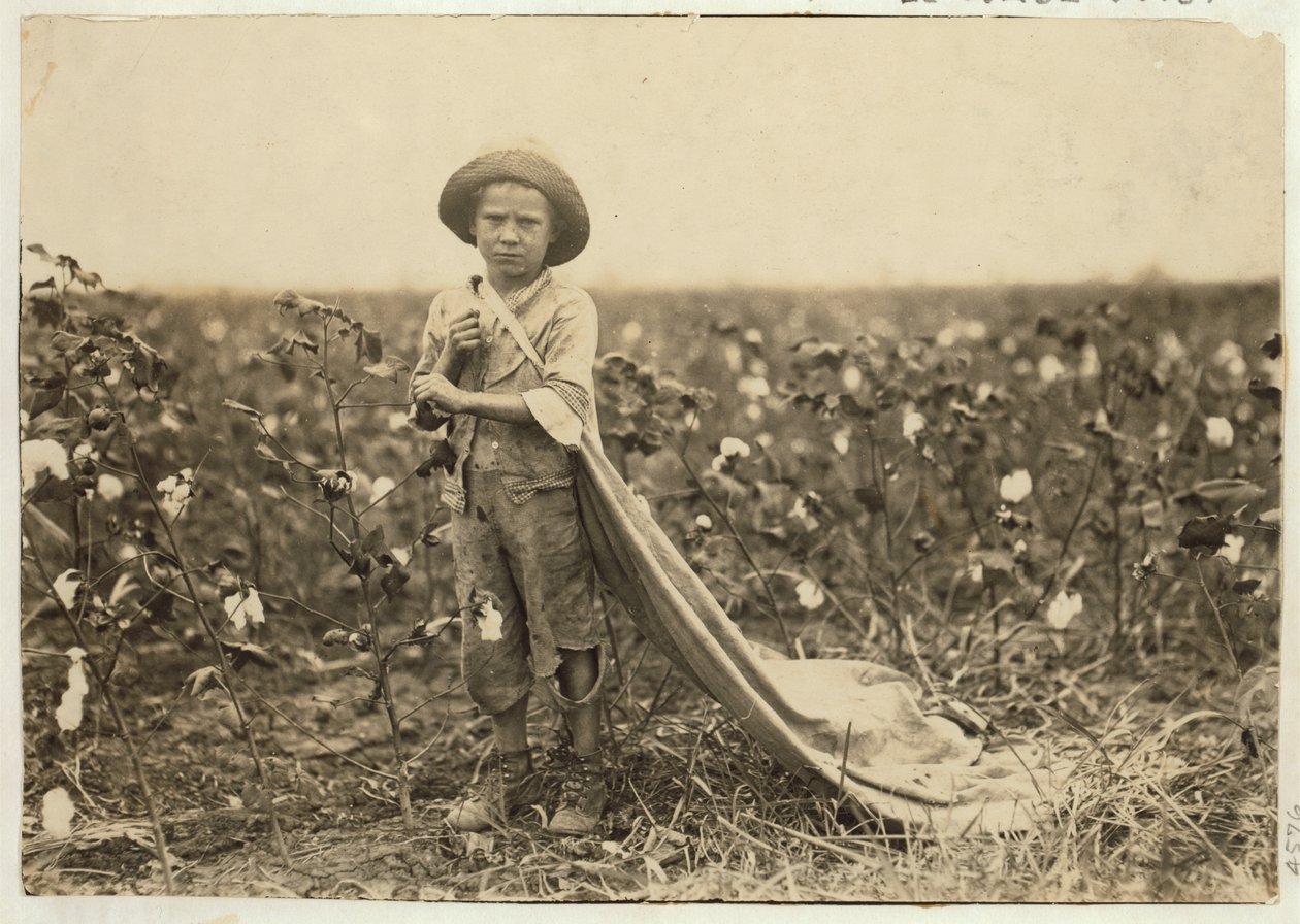 6letý Warren Frakes s asi 20 librami bavlny v tašce v Comanche County, Oklahoma, 1916 od Lewis Wickes Hine
