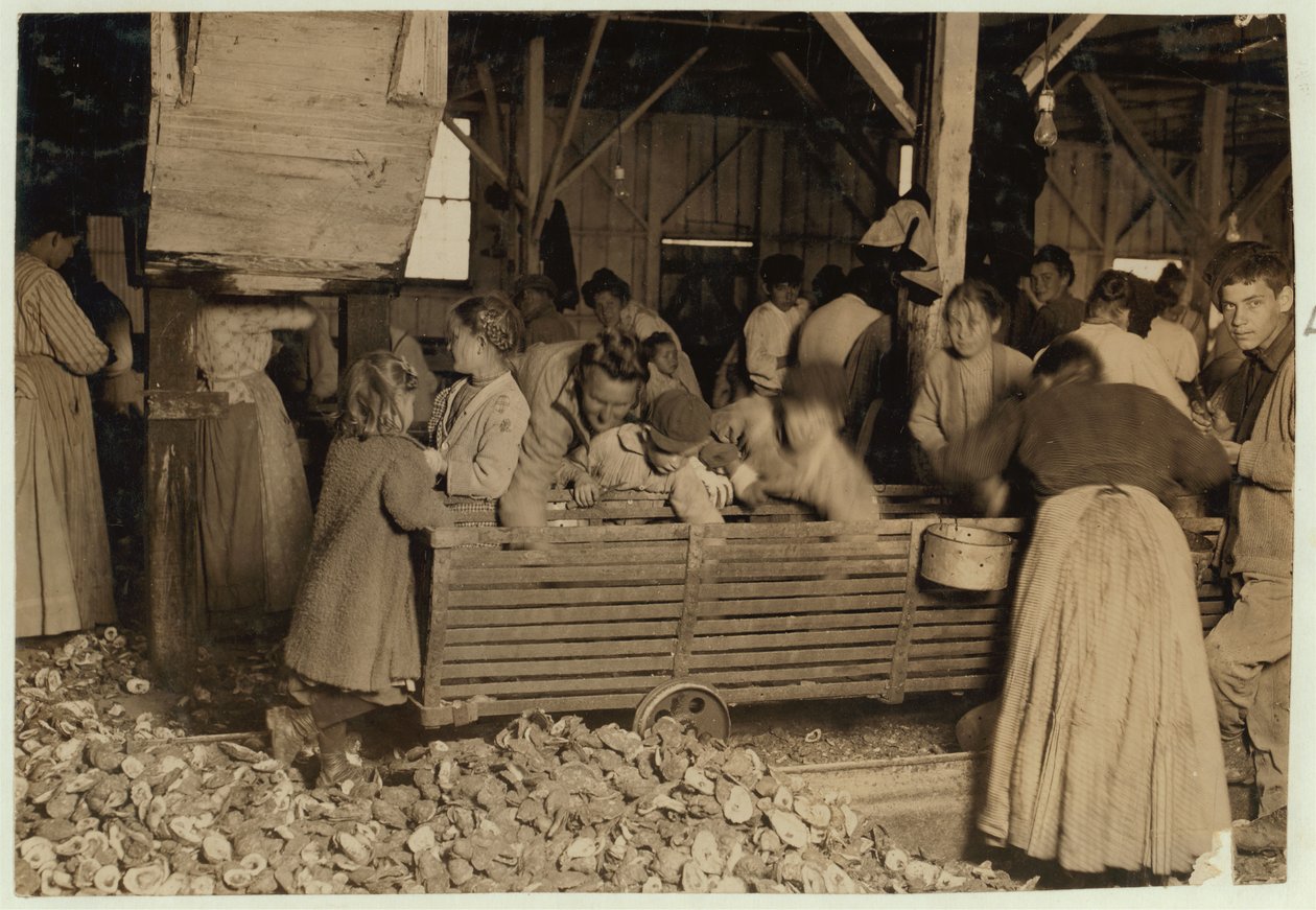 Pětiletý Bill May, který si vydělává 15 centů denně, v kůlně u Barataria Canning Company, Biloxi, Mississippi, 1911. od Lewis Wickes Hine