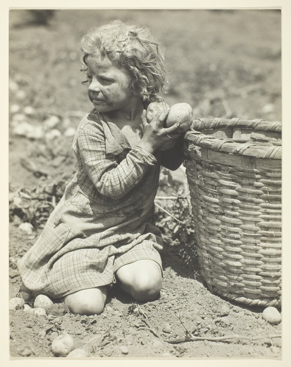 Dětská práce na farmě od Lewis Wickes Hine