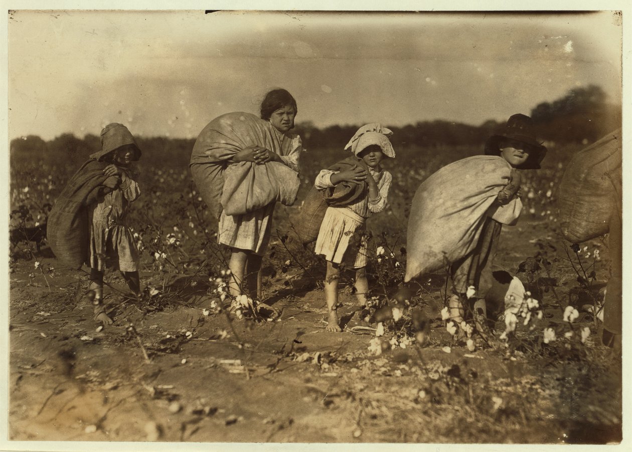 Edith 5 a Hughie 6 celý den sbírají bavlnu, Alton 7 50 liber a Ruth 9 75, v H.M. Laneova farma, Bells, Texas, 1913 od Lewis Wickes Hine