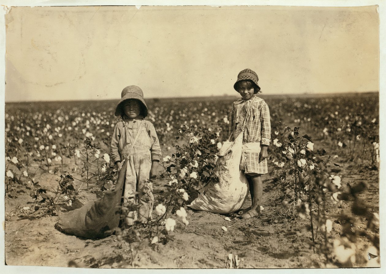 Jewel a Harold Walkerovi, 6 a 5 let, sbírají 20 až 25 liber bavlny denně v Geronimo, Comanche County Oklahoma, 1916 od Lewis Wickes Hine
