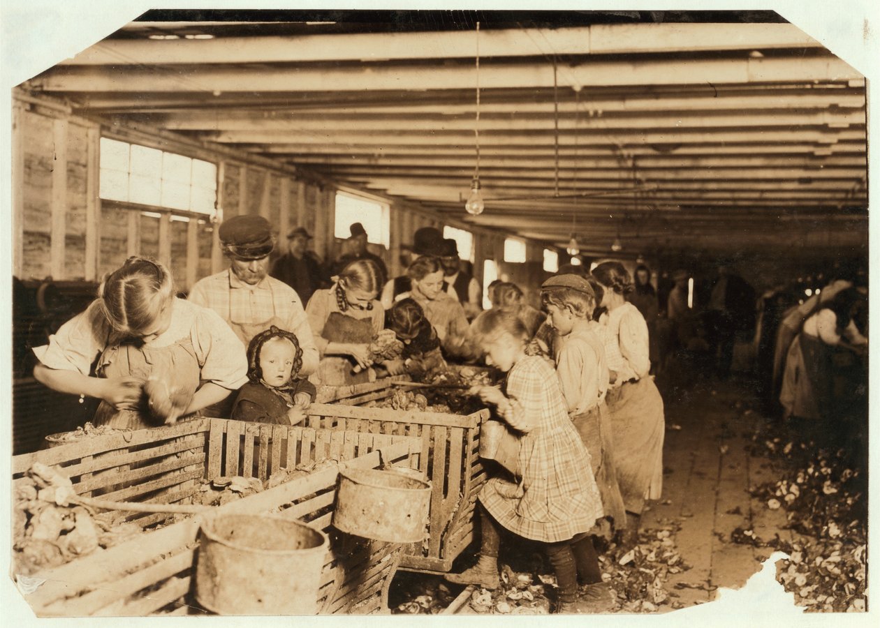 Rosy ve věku 8 let pracuje 14 hodin denně jako vyhazovač ústřic v Dunbar Cannery, Louisiana, 1911 od Lewis Wickes Hine
