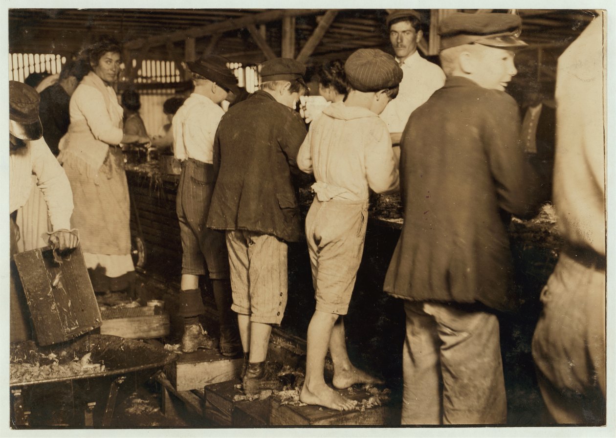 Sběrači krevet, včetně 8letého Maxe, v Dunbar, Lopez, Dukate Co, Biloxi, Mississippi, 1911 od Lewis Wickes Hine