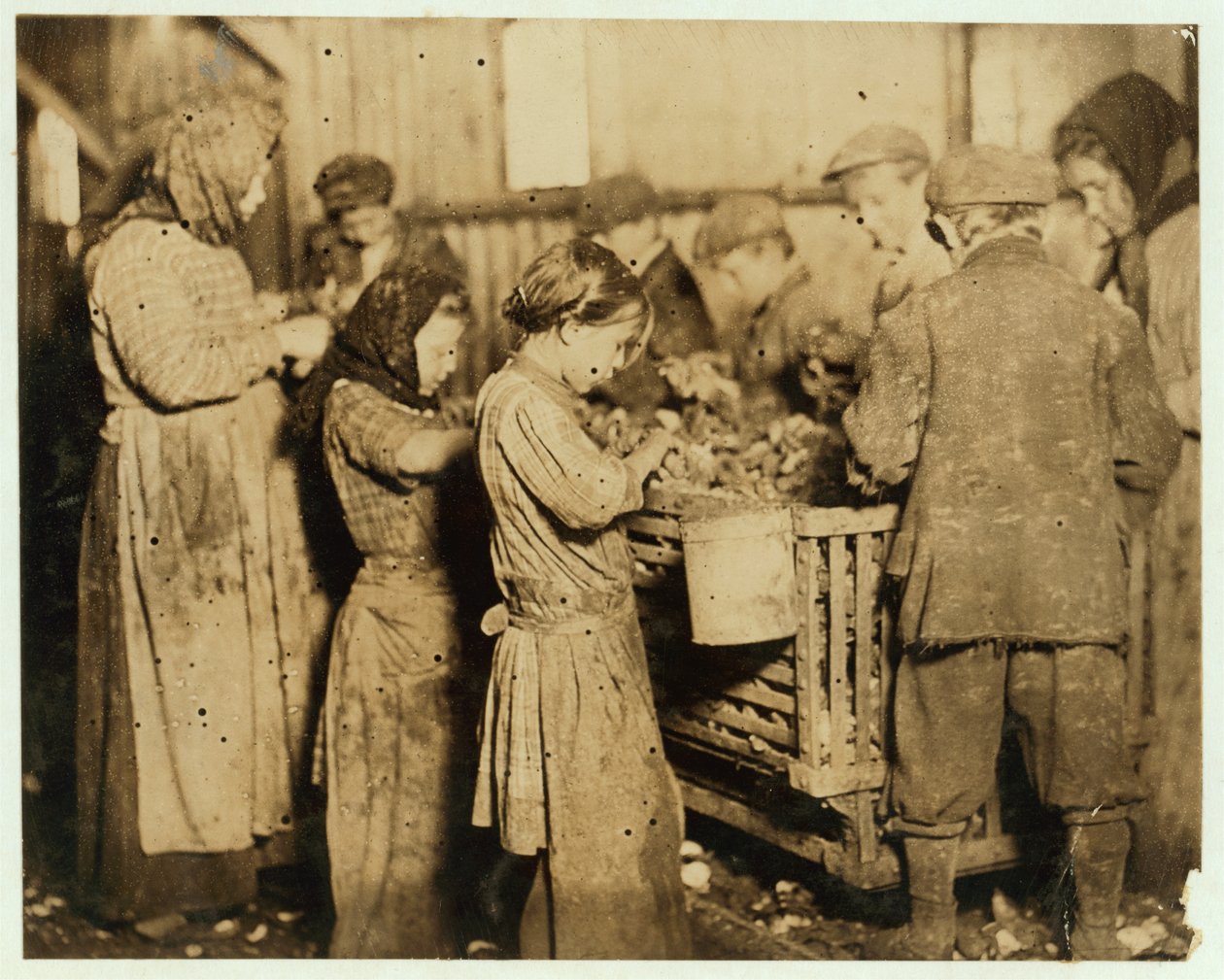 Shuckers ve věku asi 10 let otevírání ústřic v Barn und Platt Canning Company, Yonges Island, Jižní Karolína, 1913 od Lewis Wickes Hine