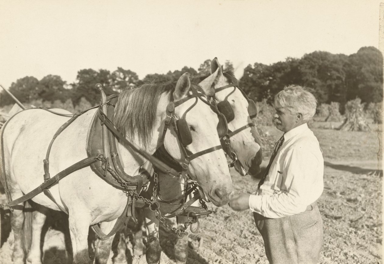 Bez názvu, ca. 1935. od Lewis Wickes Hine
