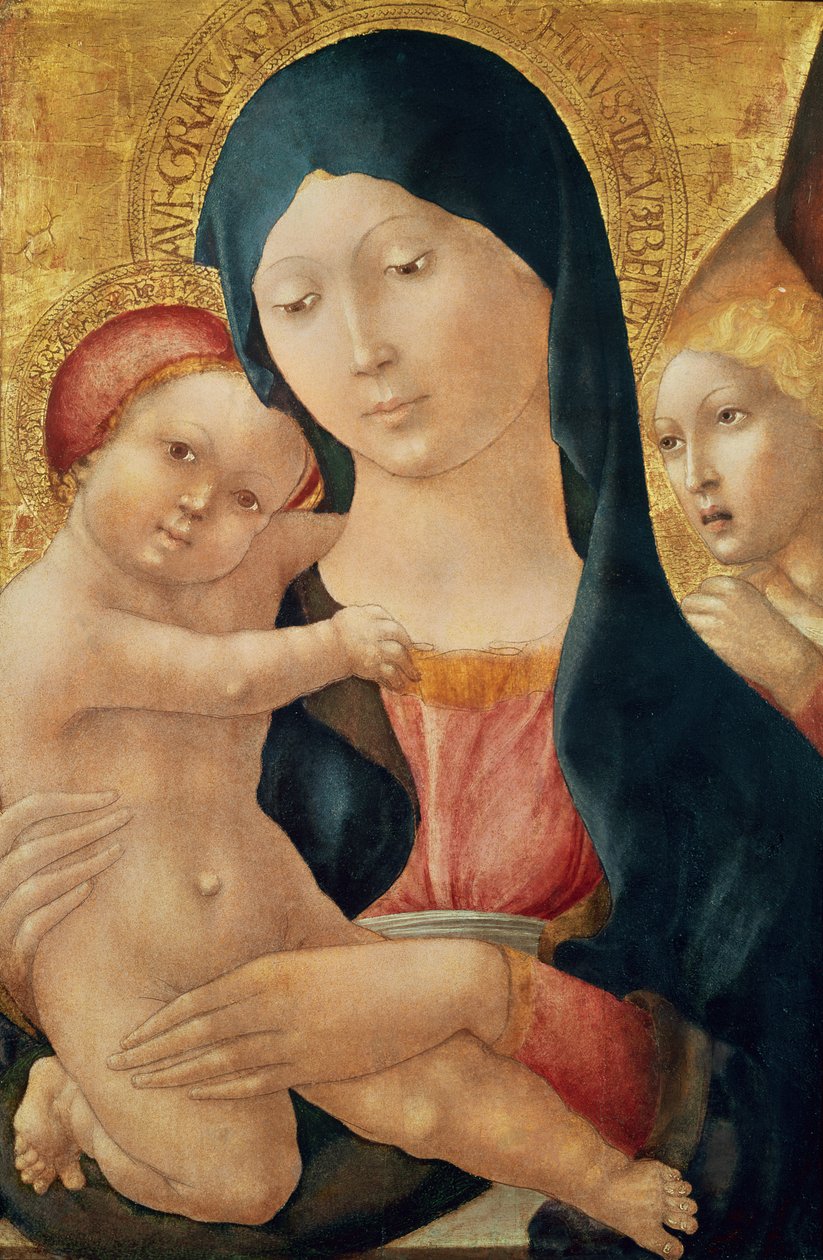 Panna a dítě s andělem, kolem 1468-70 (tempera na panelu) od Liberale da Verona