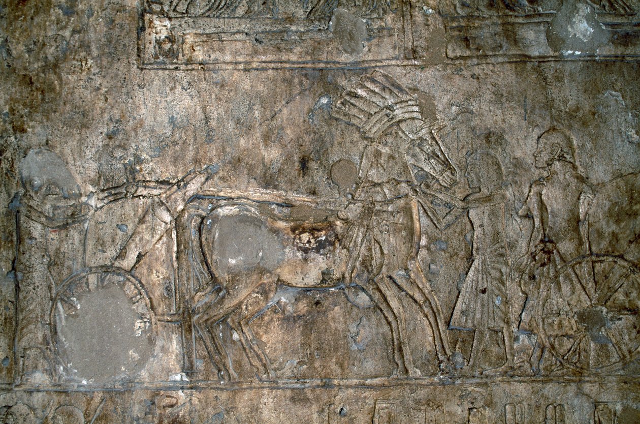 Basreliéf s vozem, nekropole Tell el-Amarna, Egypt, egyptská civilizace, Nová říše, dynastie XVIII od Unbekannt Unbekannt