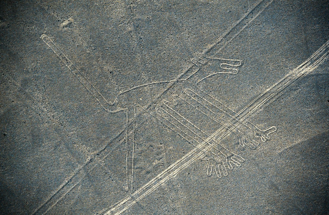 Pes, linie Nazca, Nazca, Peru, civilizace Nazca (foto) od Unbekannt Unbekannt