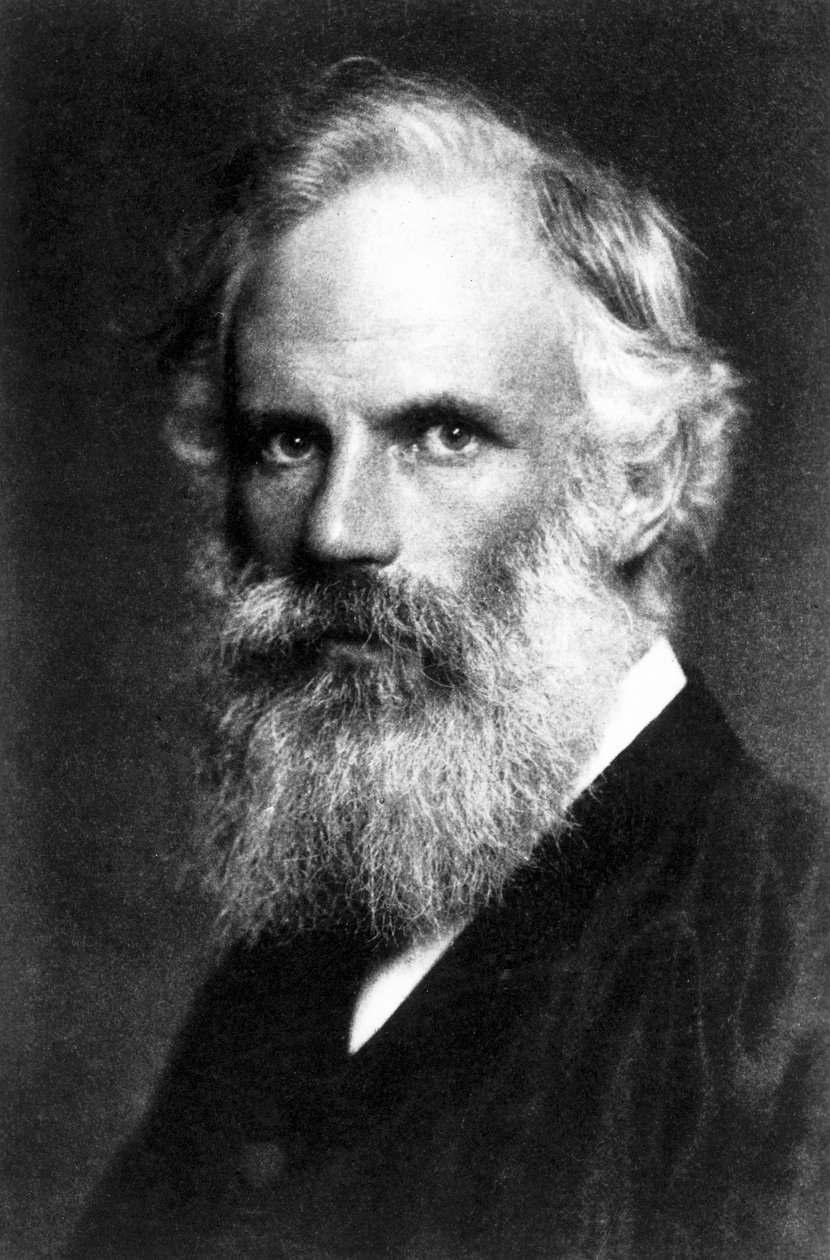 George Fitzgerald , irský fyzik, konec 19. století od Unbekannt Unbekannt