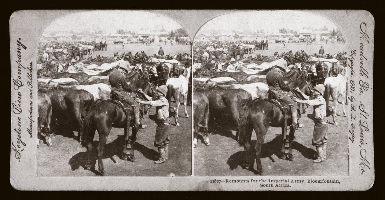 Búrská válka (Jižní Afrika od Unbekannt Unbekannt