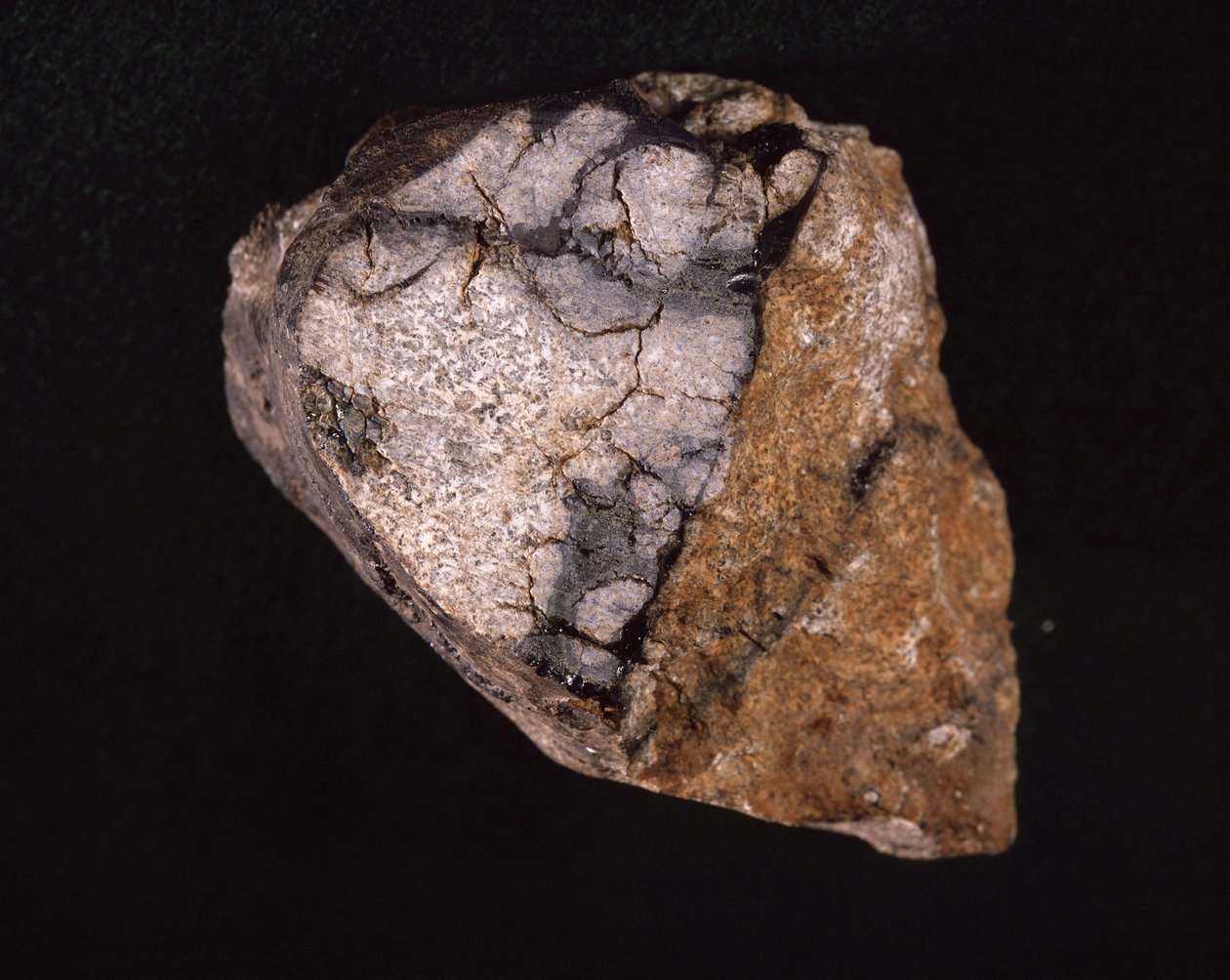 Meteorit nalezený v Indii v roce 1875 - Museum d