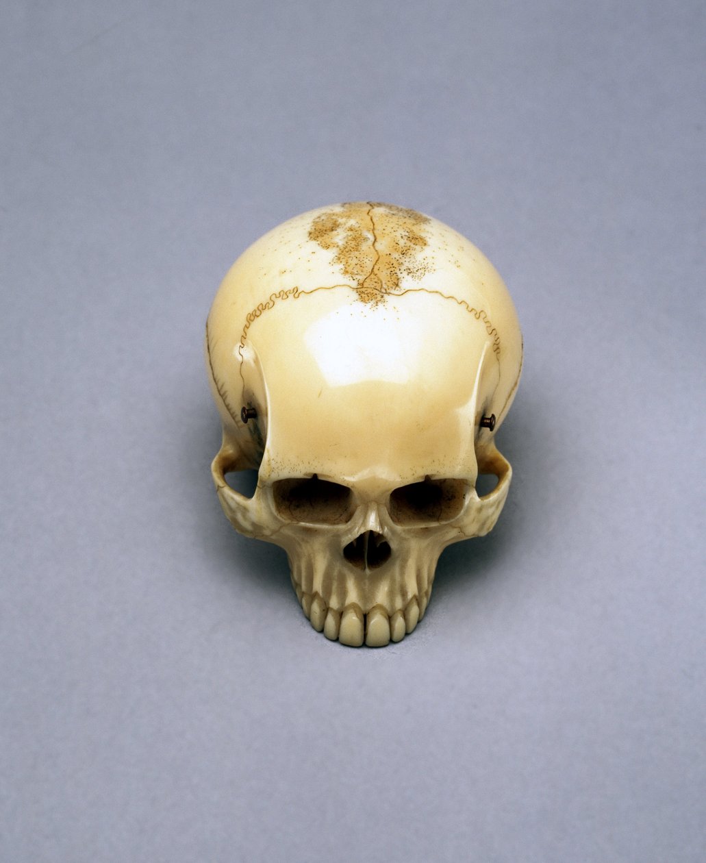 Model lebky, pravděpodobně netsuke, Japonec od Unbekannt Unbekannt