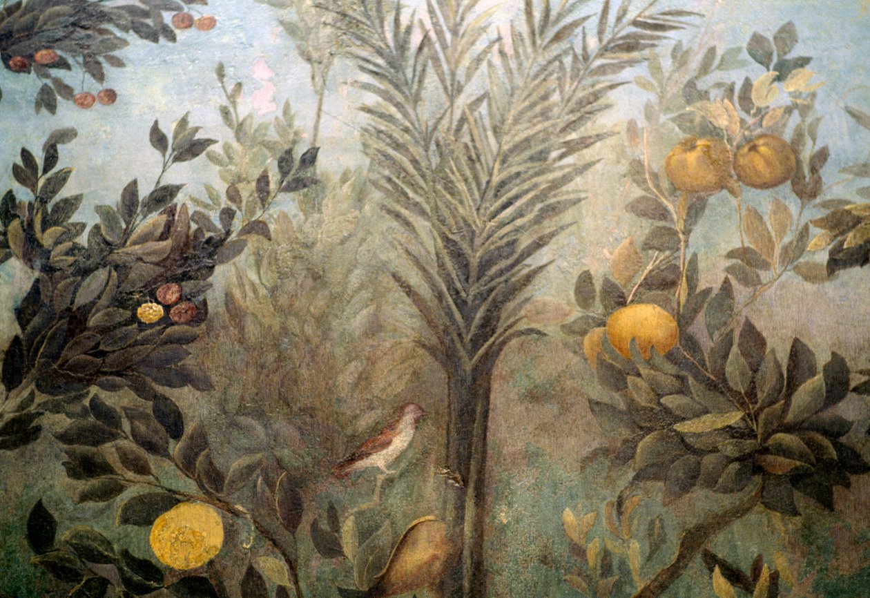 Strom z granátového jablka, detail z fresky zobrazující zahradu s ovocnými stromy a ptáky, z domu Livia na pahorku Palatine, Řím, Itálie. římská civilizace od Unbekannt Unbekannt
