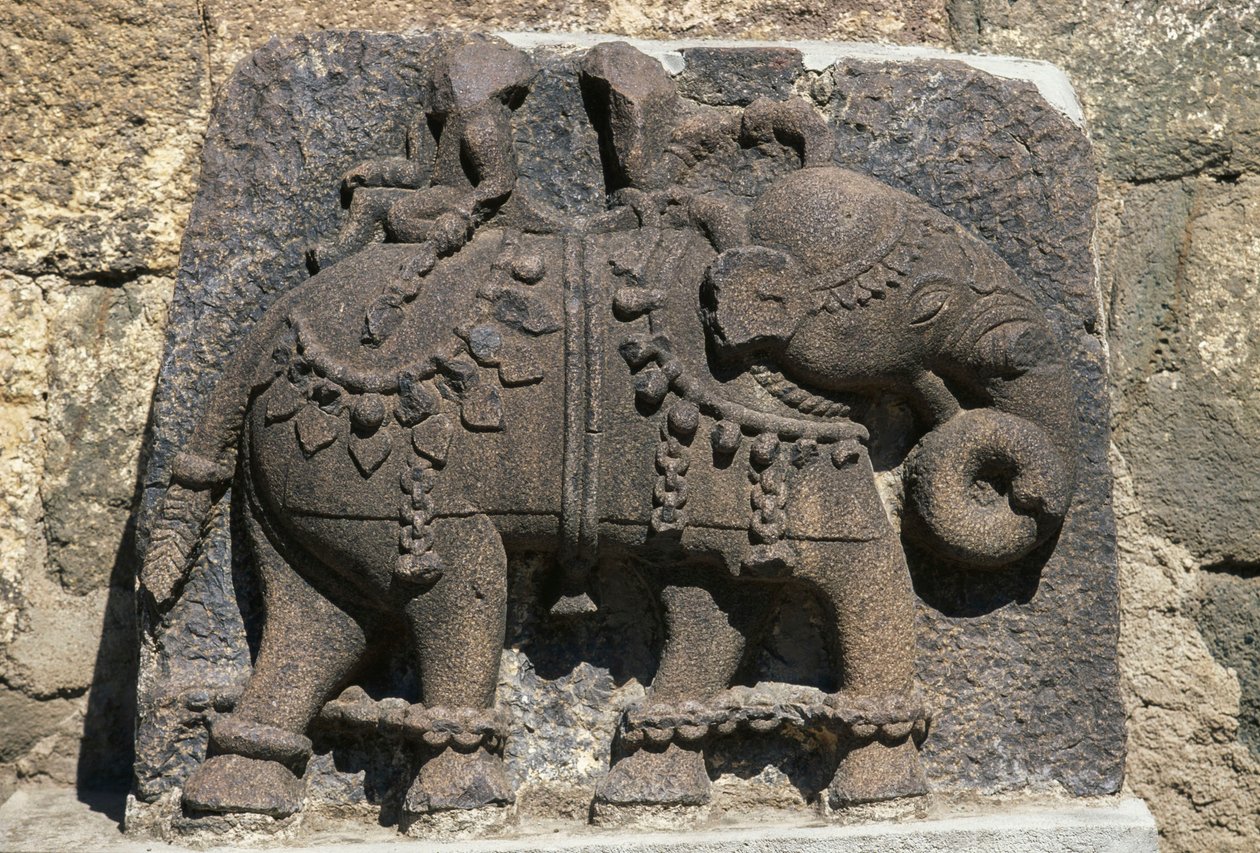 Reliéf zobrazující slona, ​​pevnost Daulatabad (Devagiri), Maharashtra, Indie od Unbekannt Unbekannt