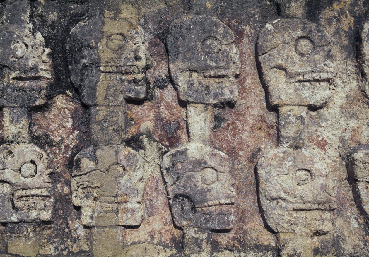 Reliéf zobrazující lidské lebky, detail Tzompantli nebo Wall of Skulls, archeologické naleziště Chichen Itza (světové dědictví UNESCO od Unbekannt Unbekannt