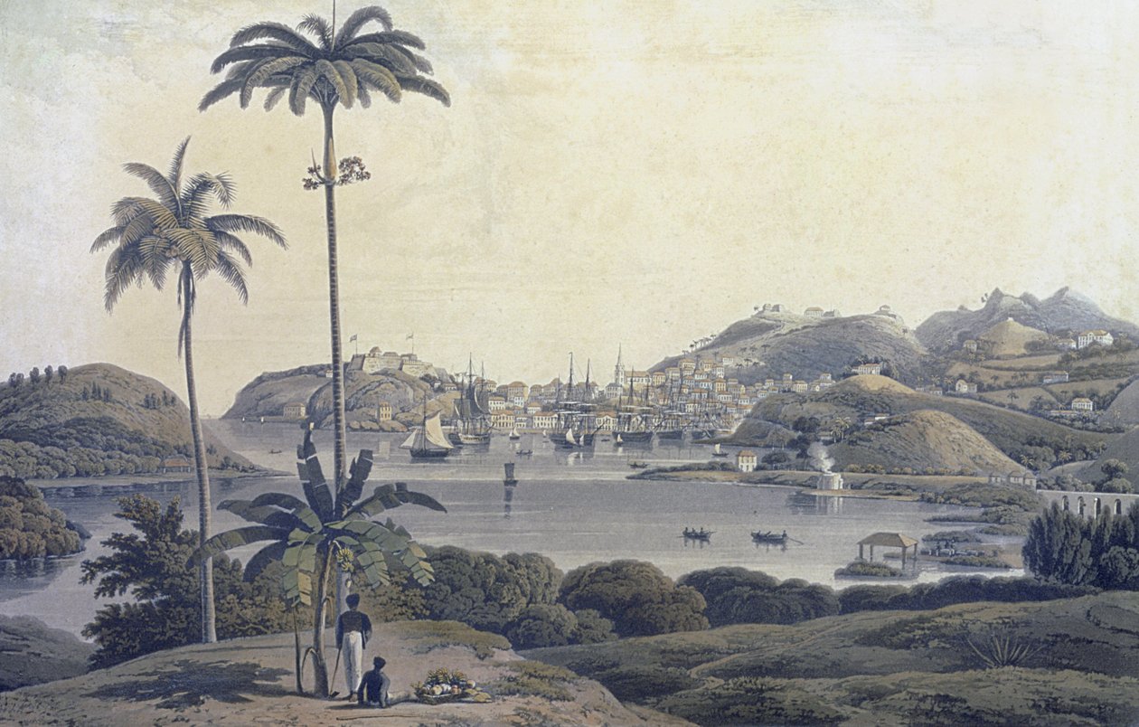 Pohled na město St. George na ostrově Grenada, převzatý z Belmont Estate, vyrytý Williamem Daniellem (1769-1837), kolem 1810 od Lieutenant Colonel J. Wilson