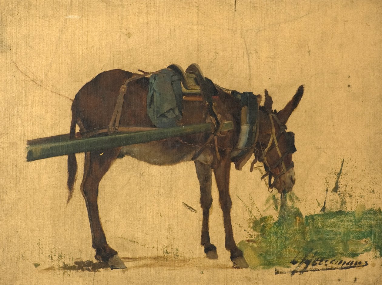 Studie muly (olej na plátně) od Lievan Herremans
