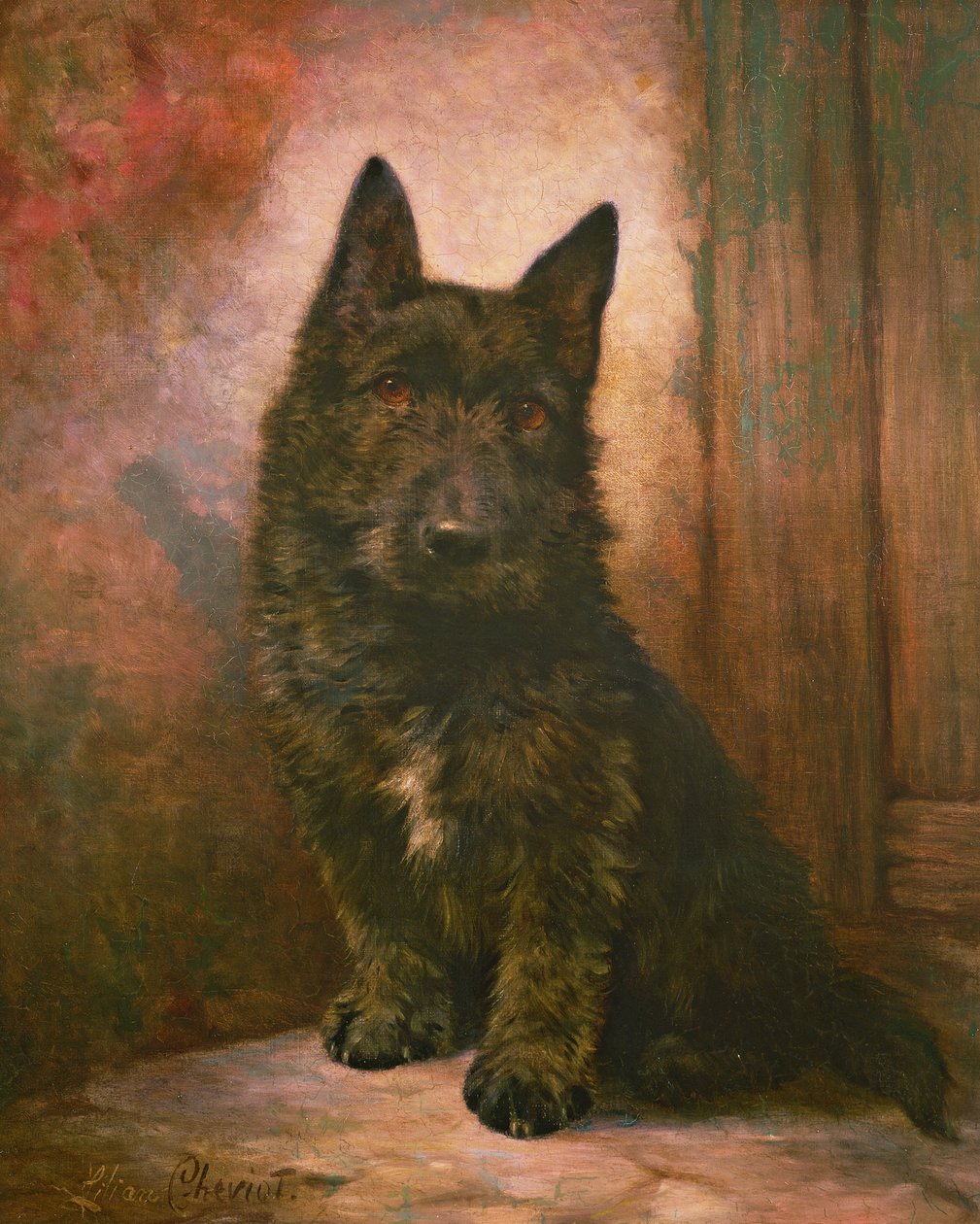 Štěně Scottie od Lilian Cheviot