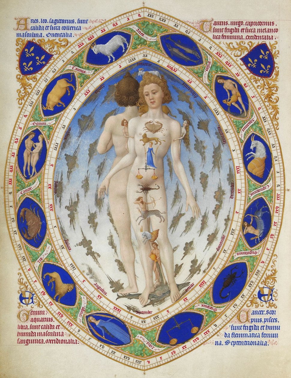 Velmi bohaté hodiny vévody z Berry: Anatomický muž od Limbourg Brothers