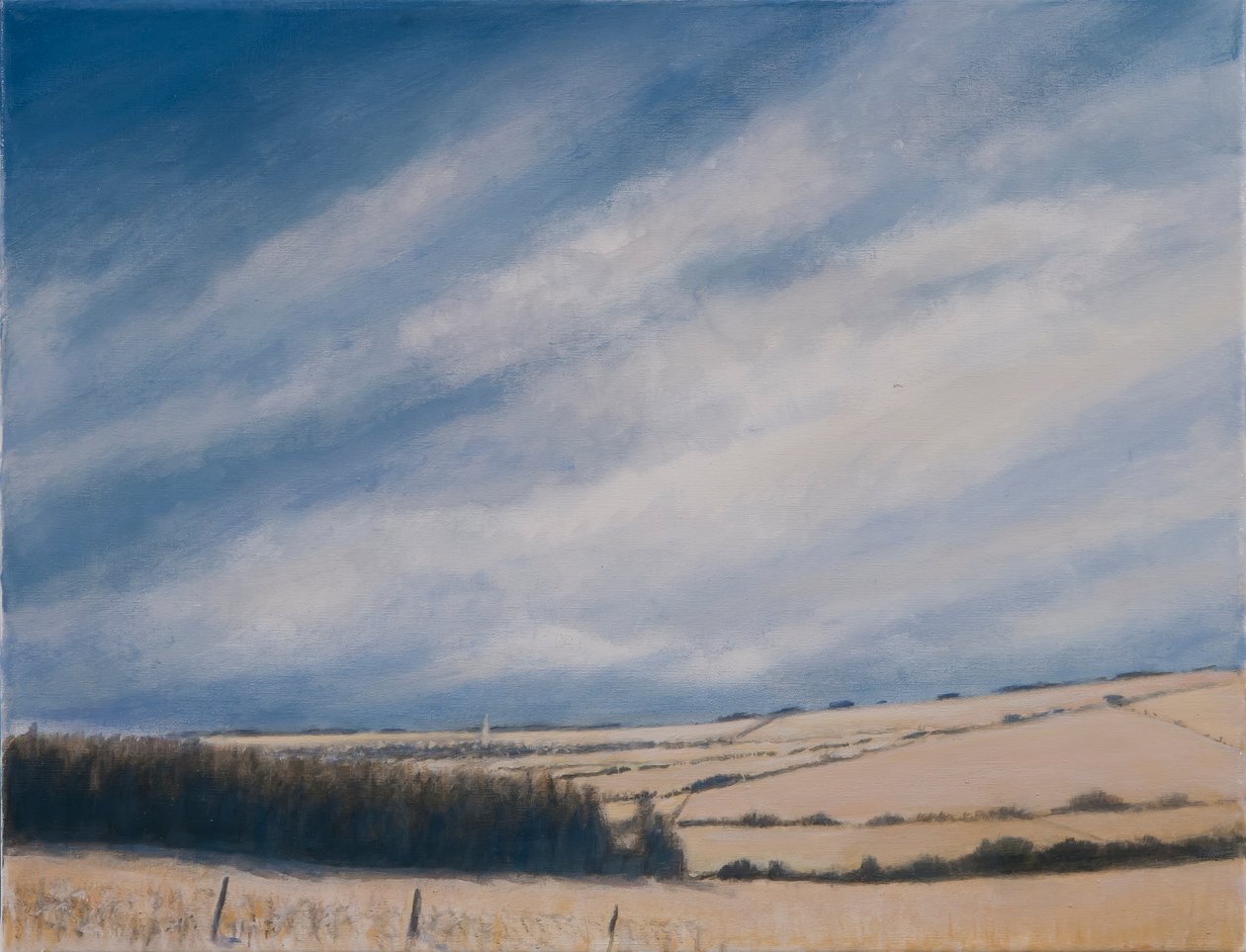 Approaching Burford, 2012 (akryl na plátně) od Lincoln Seligman